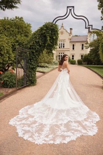 Sophia Tolli Rio #1 thumbnail