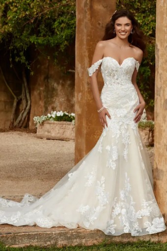 Sophia Tolli Amaya #1 thumbnail